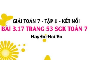 Giải bài 3.17 trang 53 Toán 7 Tập 1 SGK Kết nối tri thức